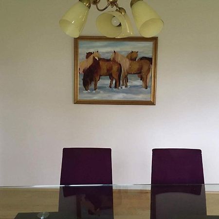 Thorbrandsstathir Thorbrandsstadir Farm Holidays מראה חיצוני תמונה